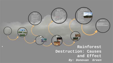 Rainforest Destruction: Causes and Effect by donovan green on Prezi