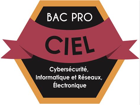 BAC PRO CIEL Cybersécurité Informatique et Réseaux Électronique