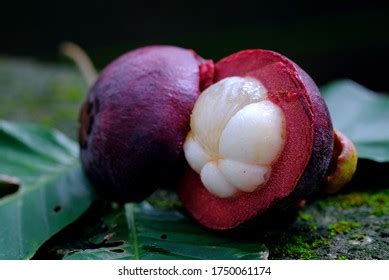 Malaysia Queen Fruits Mangosteen Stock Photo 1750061174 | Shutterstock