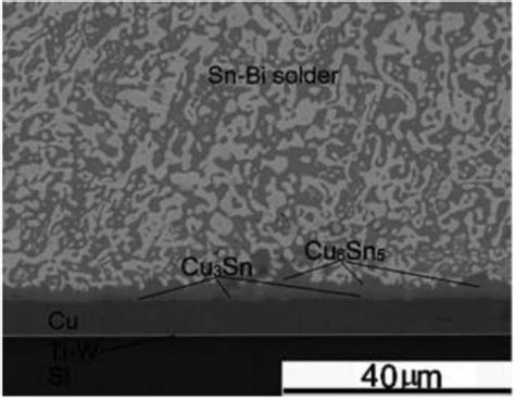 SEM Image Of The Microstructure After The Sn Bi Cu Sample Is Stored At