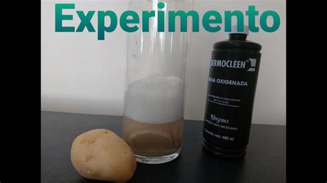 Experimento Qu Mico La Reacci N Entre Agua Oxigenada Y Papa Tratamos