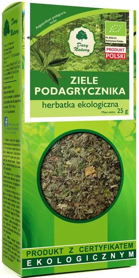 Podagrycznik Ziele Podagrycznika Ekologiczna Herbatka G Dary Natury