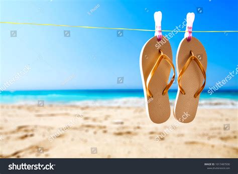 Summer Background Sea Beach Sexy Bikini Stock Photo Shutterstock