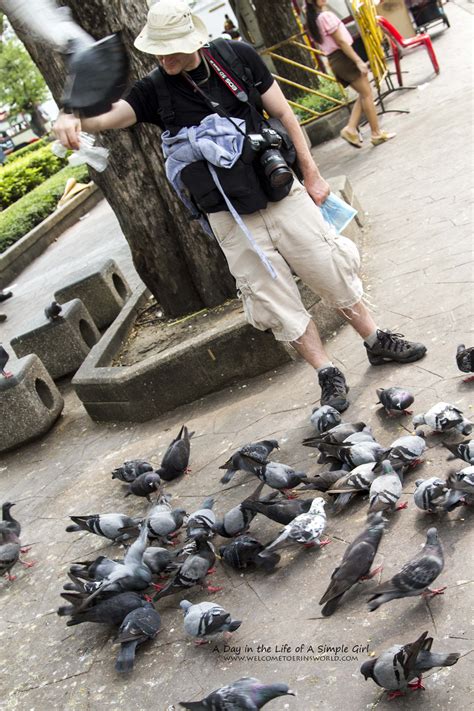 Birds In Bangkok Welcome To Erins World