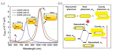 Nanomaterials Free Full Text Photothermal Response Of Hollow Gold Nanorods Under Femtosecond