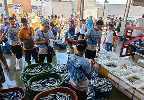 A DEEP DIVE INTO COLLAPSE Iloilos Fisheries Sector Faces