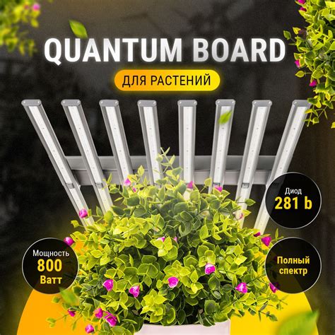 Quantum Board 800W,Фито лампа для растений, Квантум борд 800Вт. Полный ...