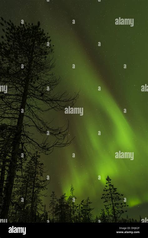 Northern lights (Aurora borealis), Sweden Stock Photo - Alamy