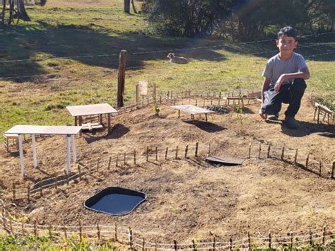 Garoto constrói mini fazenda na propriedade da família