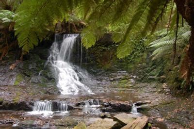 Looking beyond Russell (Russell Falls) - World of Waterfalls