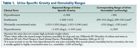 What Does It Mean When A Dogs Urine Is Not Concentrated