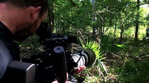 Filming Beautiful Butterfly Footage Sex Lies And Butterflies Pbs Nature Video Dailymotion