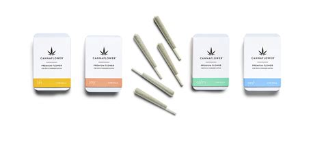 Cbd Pre Roll Flight Cbd Joint Cannaflower