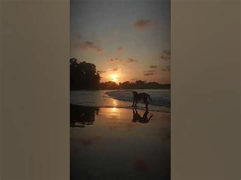 Batukaras Sunset Youtube