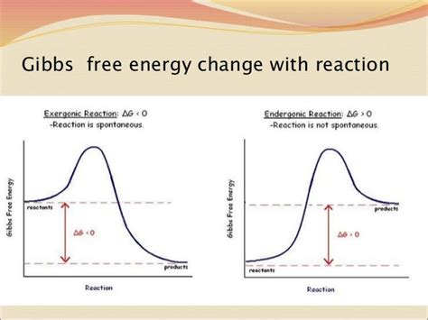 Plotting Of Different Parameters Entropy Enthalpy Gibbs Free Energy