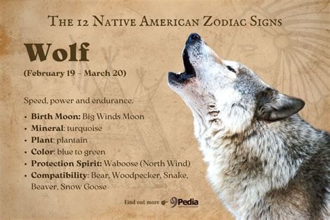 12 Magical Native American Zodiac Signs Whats Your Sign