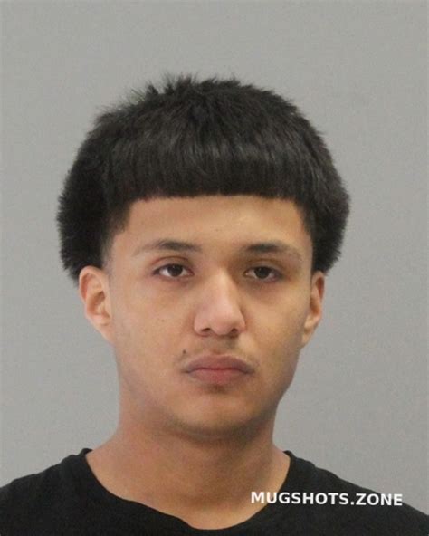 Chavez Alesandro 08 29 2023 Brazos County Mugshots Zone