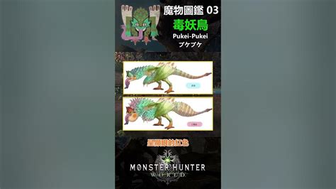 魔物圖鑑 03 毒妖鳥 Mhw 魔物獵人 魔物獵人世界 魔物獵人世界冰原 Youtube