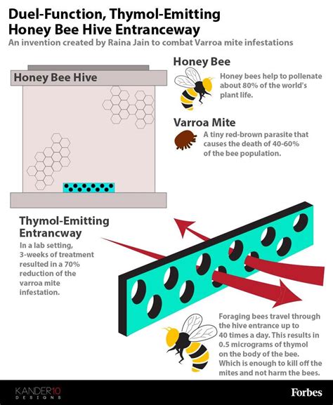 Honey Bee Mite Treatment