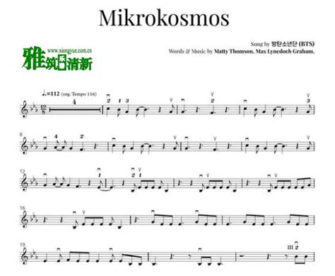 BTS防弹少年团 Mikrokosmos小提琴谱