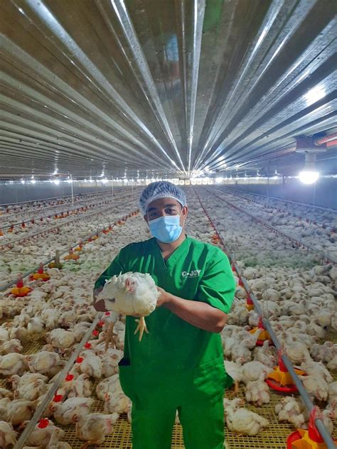 C-Joy Poultry Meats added a new photo. - C-Joy Poultry Meats