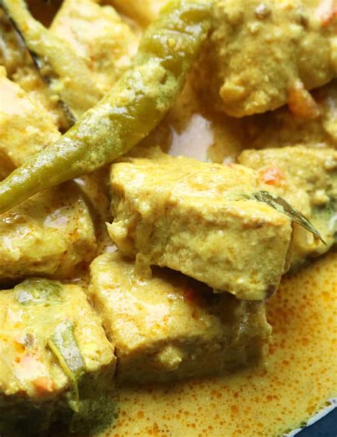 Easy Coconut Fish Currysailfish Recipe The Seafood Blog