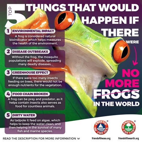 Save The Frogs Campaign Possible Solutions Save Frogs Fos