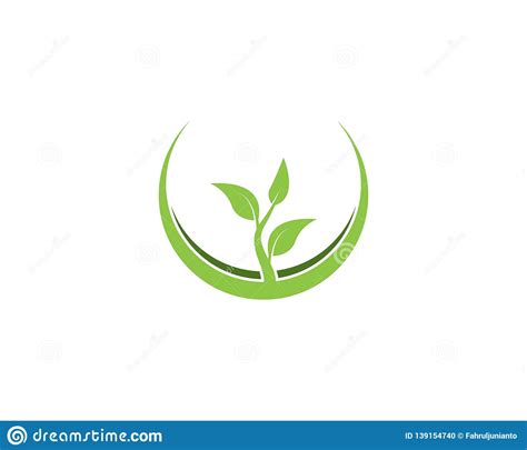 Logotipo Verde De La Naturaleza De La Hoja Ilustración Del Vector