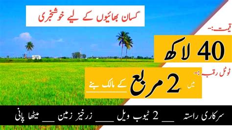 Land For Sale In Punjab Pakistan Zameen For Sale In Punjab Pakistan