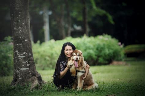 Belle Jeune Femme Jouant Avec Son Petit Chien Dans Un Parc En Plein Air