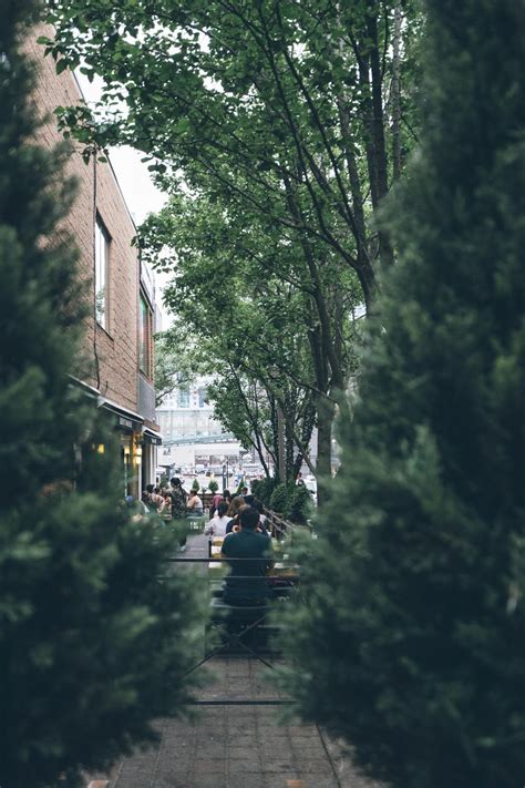 Person Sitting on Bench · Free Stock Photo