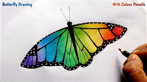 Unbelievable Compilation Of Butterfly Drawing Images In Full K