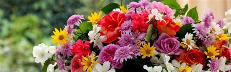Доставка цветов и букетов в Новосибирске от EuroFlora