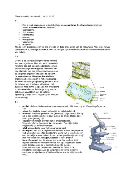 Bio Samenvatting H Bio Samenvatting Toetsweek H