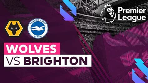 Prediksi Skor Pertandingan Wolves Vs Brighton Begini Susunan Pemain