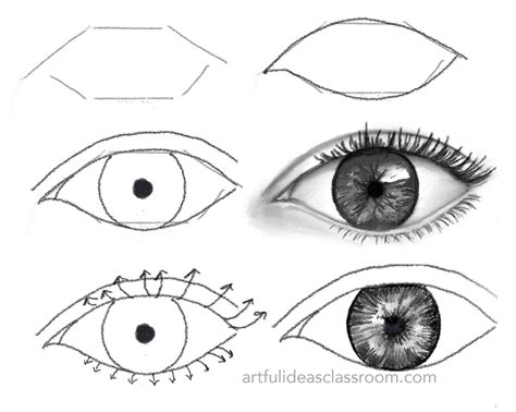 How to Draw Features of the Face