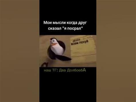 #рекомендации #тащи наш ТГ: Шестая конторА - YouTube