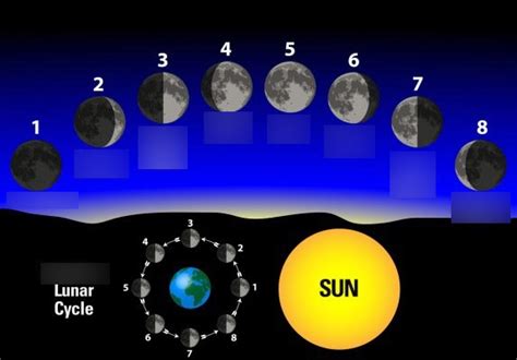 Earth Moon And Sun Diagram Quizlet