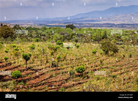 The Konso Landscape, Konso Region, Ethiopia Stock Photo - Alamy
