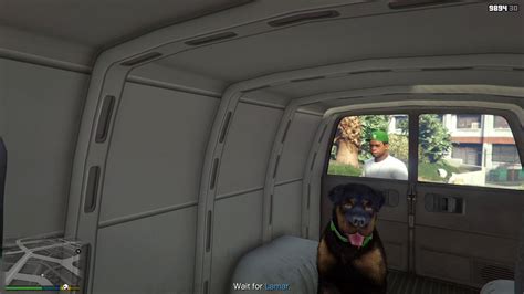 Gta 5 Chop Dog