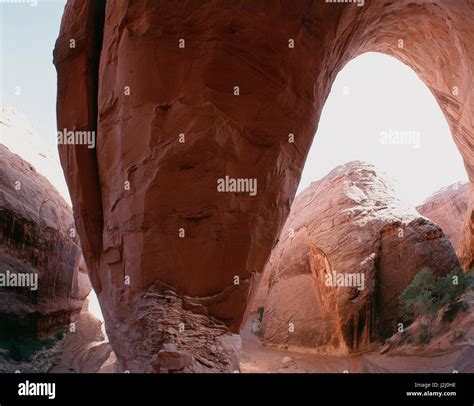 Usa Utah Escalante Jacob Hamblin Arch In Coyote Gulch Large Format