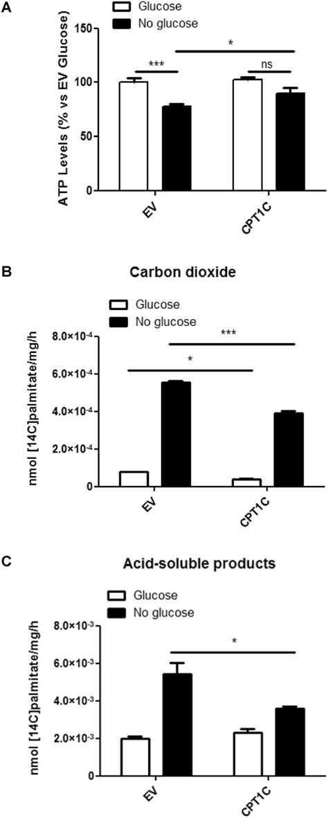 CPT1C Overexpression In HMSCs Leads To Higher ATP Production In Glucose