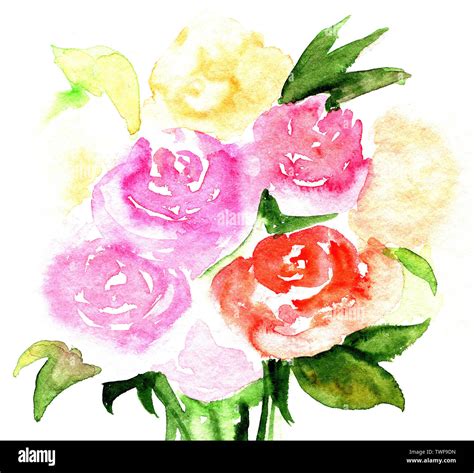 Hand drawn watercolor illustration of roses. Bouquet of pink and red ...