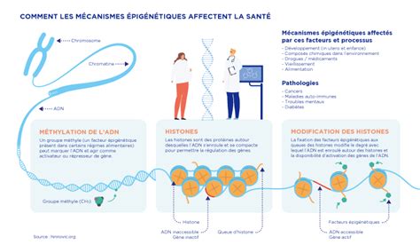 Lépigénétique va t elle bouleverser notre approche des maladies Leem