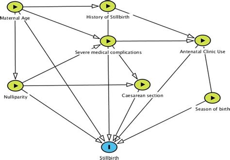 Directed Acyclic Graph To Identify Potential Relationships Between