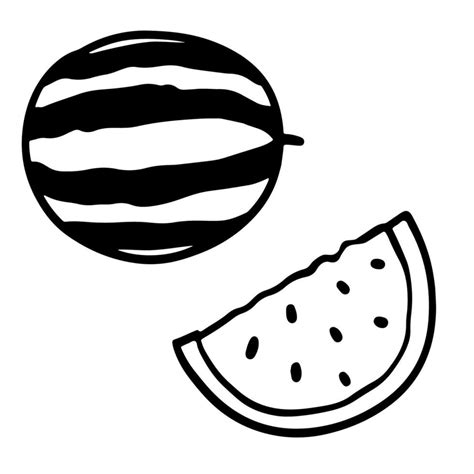 Watermelon Black And White Doodle Sketch Vector Illustration Isolated