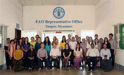 Our team | FAO in Myanmar | Food and Agriculture Organization of the ...