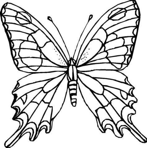 Coloriage Papillon Difficile 40 dessin gratuit à imprimer