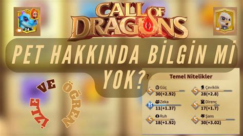 OYUNA GELEN PET LER İLE İLGİLİ HER ŞEY CALL OF DRAGONS YouTube