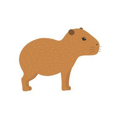 Capybara Vector Illustration Vector Capybara Illustration Vector